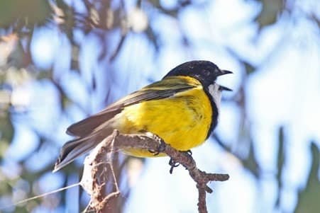 Lots on at Blackburn Lake