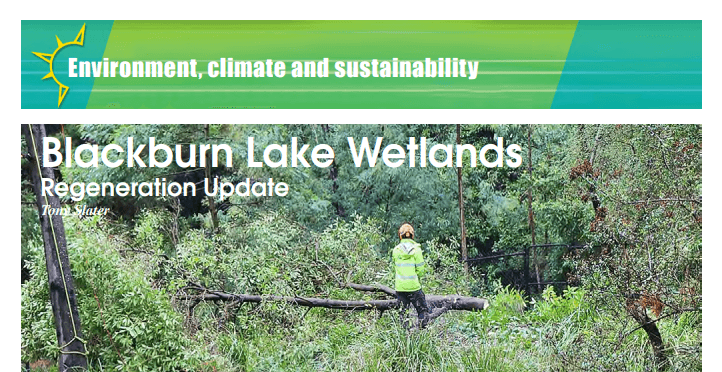 Update on Wetlands Regeneration