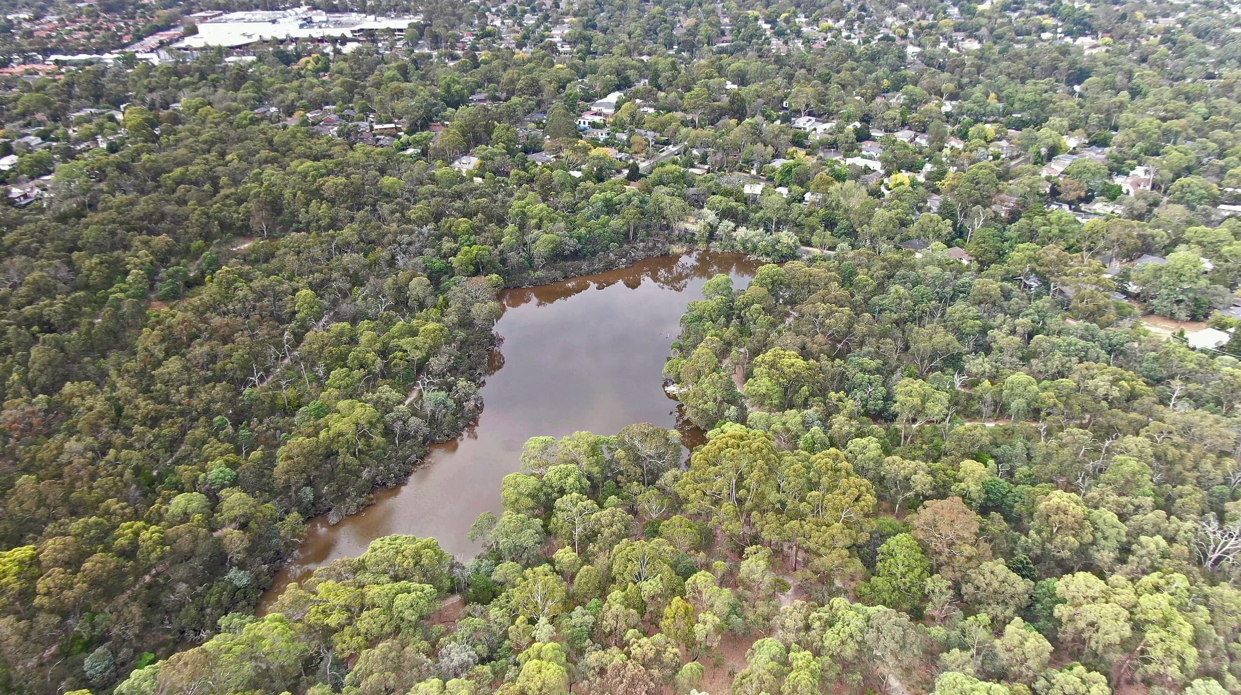 Blackburn Lake Sanctuary landscape