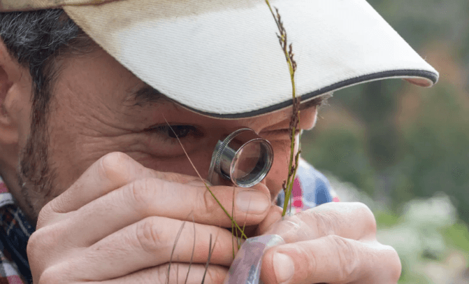 Complimentary conservation strategies for the protection of native flora