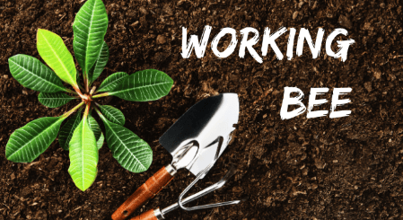 Working Bee - Wetlands Planting